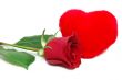 Love is
