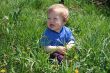 Child with the dandelion