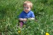 Child with the dandelion