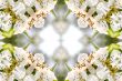 Collage on the theme of spring