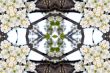 Collage on the theme of spring