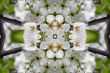 Collage on the theme of spring