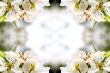 Collage on the theme of spring