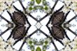 Collage on the theme of spring