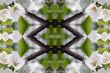 Collage on the theme of spring