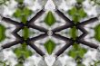 Collage on the theme of spring