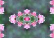 Collage on the theme of spring