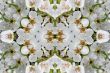 Collage on the theme of spring