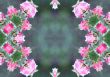 Collage on the theme of spring