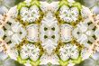 Collage on the theme of spring