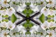 Collage on the theme of spring