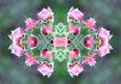 Collage on the theme of spring