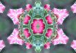 Collage on the theme of spring