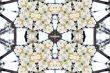 Collage on the theme of spring