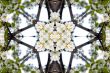 Collage on the theme of spring