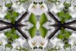 Collage on the theme of spring