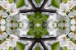 Collage on the theme of spring