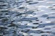 fresh water