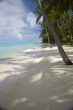 tropical beach