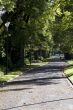 lane in the park