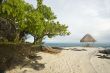 tranquil tropical scene