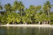 tropical beach