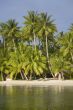 tropical beach