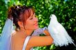 Bride with a pigeon