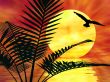 Palm tree landscape