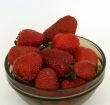 garden strawberry