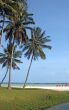 tropical beach