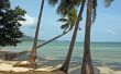 tropical beach