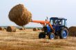 Haymaking