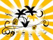 Palm tree background