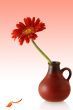 gerber in red vase with couple single petals