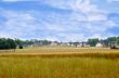 Urban Sprawl