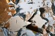 cracked paint