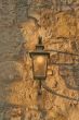 Light Fixture