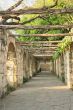 Colonnade