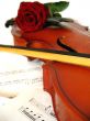 Violin