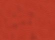Red reptile skin