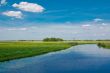 Dutch polder landscape