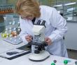 Researcher