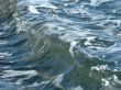 Sea wave