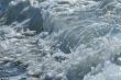 Sea wave
