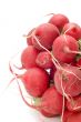 garden radish close up