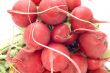 garden radish macro