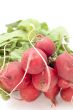garden radish on white