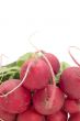 radish close up