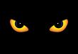 Predator eyes